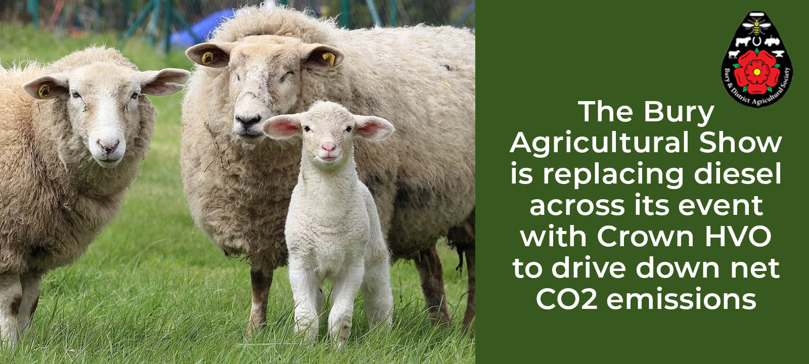 agricultural show hvo