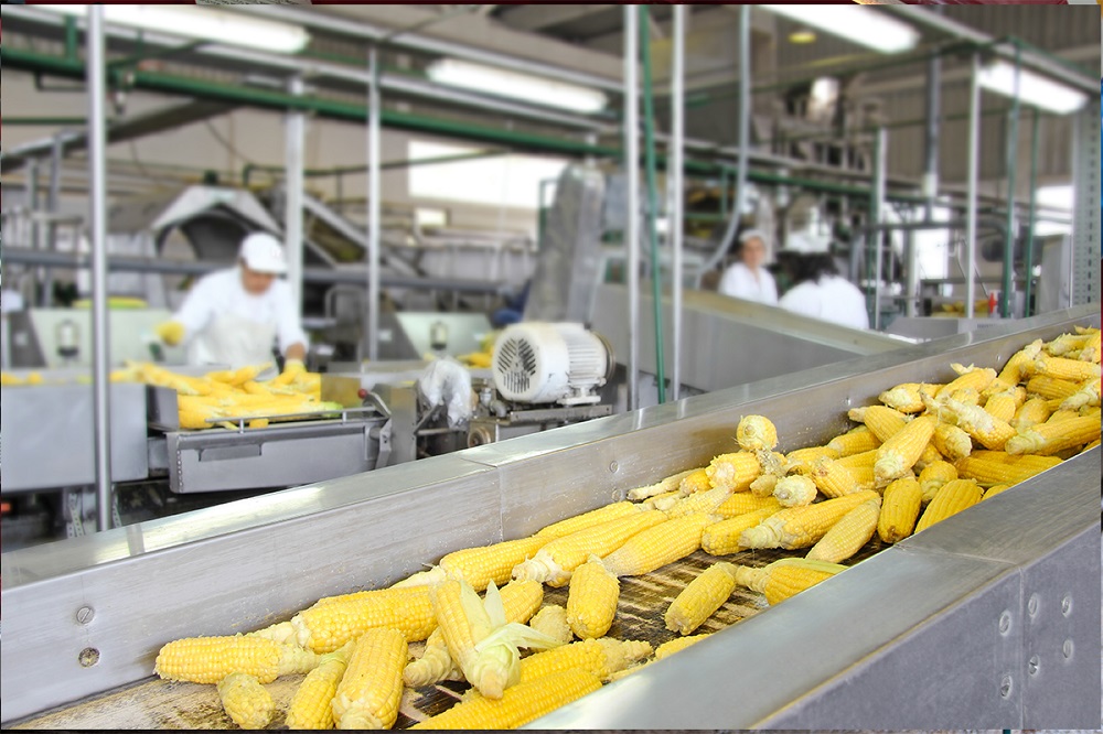 Food Production Lubricants