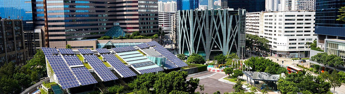 renewable fuels net zero