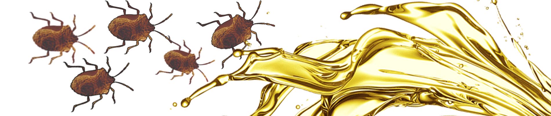 diesel bug contamination